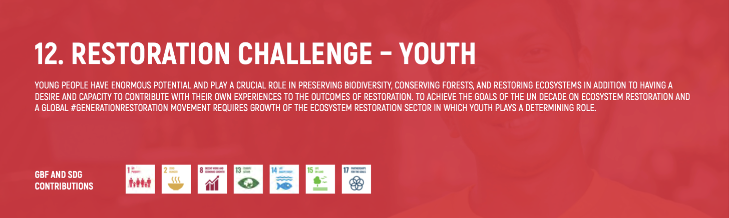 UN Decade Youth Challenge Badge
