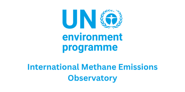IMEO International Methane Emissions Observatory Logo