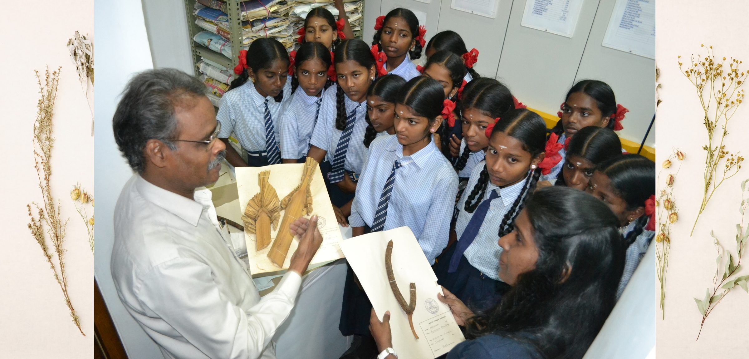 A herbarium expert showing mounted plant specimens to a group of APSCC students