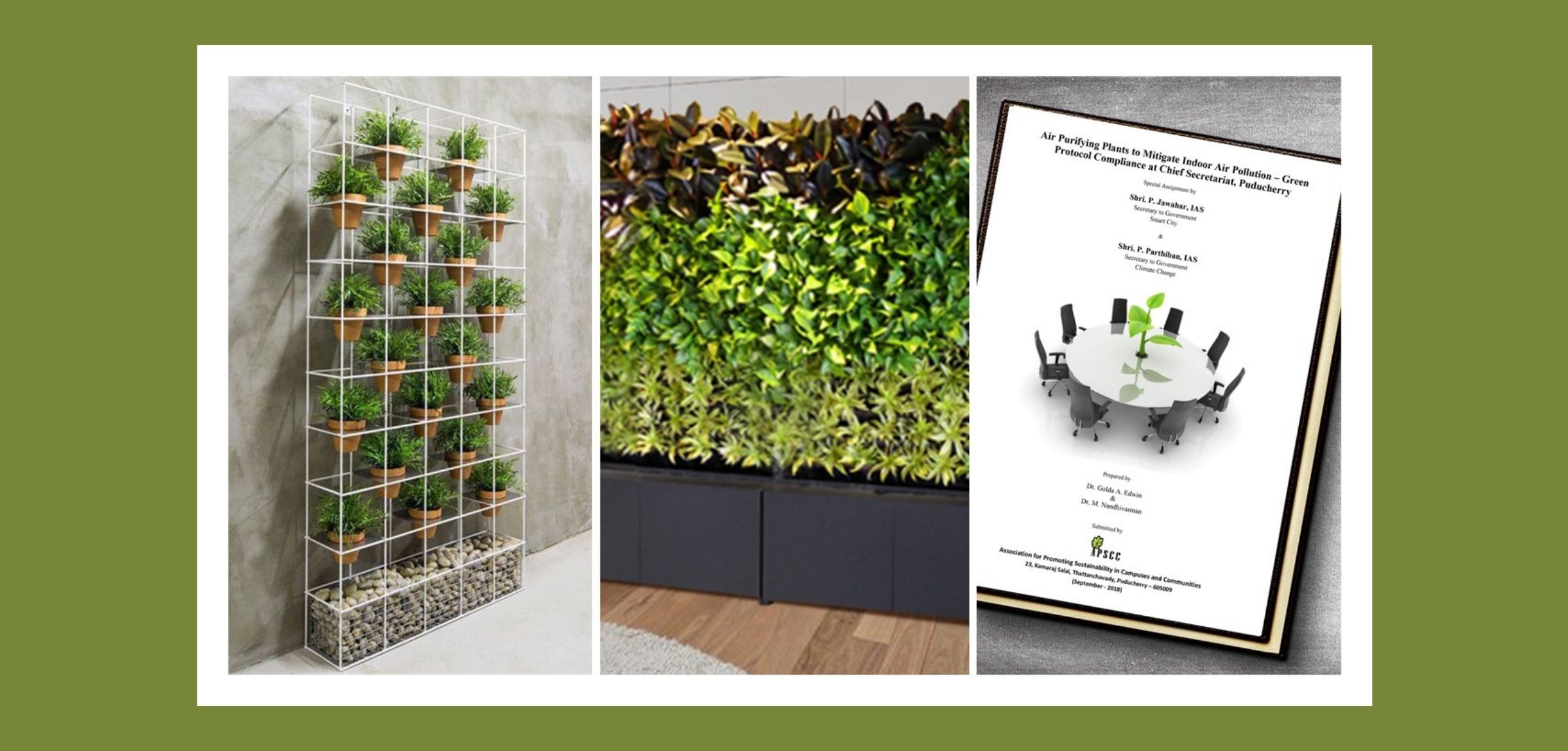 Air-purifying plants at the Chief Secretariat, Puducherry