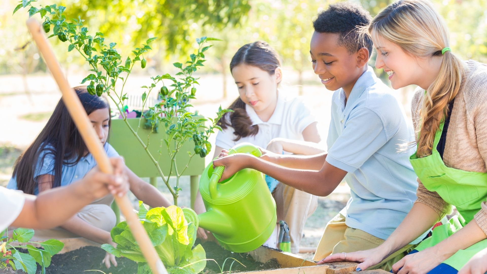 Students at a coastal cleanup — Sustainable Campus Challenge