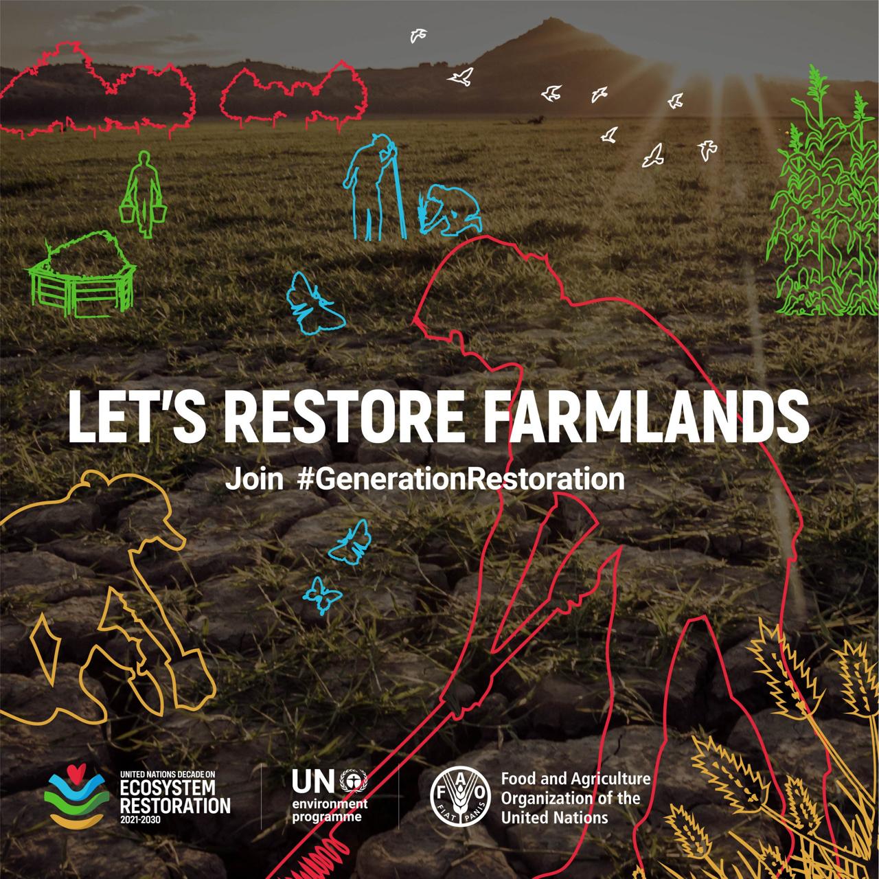 UN Decade on Ecosystem Restoration — Let’s restore farmlands