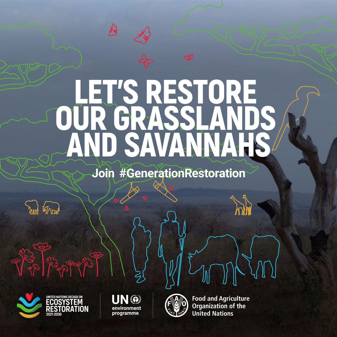 UN Decade on Ecosystem Restoration — Let’s restore our grasslands