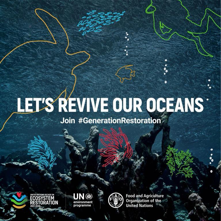 UN Decade on Ecosystem Restoration — Let’s revive our oceans