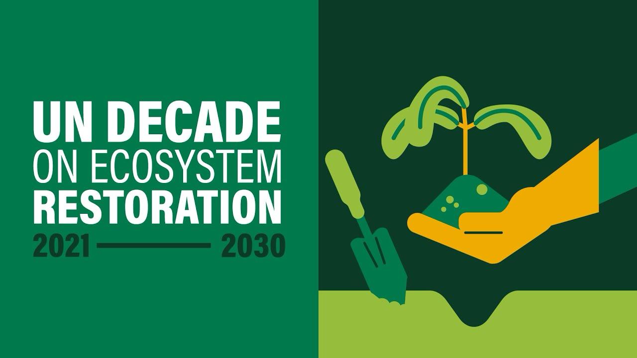 UN Decade on Ecosystem Restoration 2021–2030