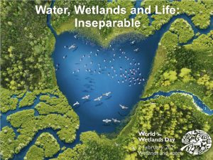 Green Protocol for Wetlands